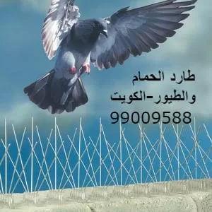 طارد الطيور 50050641 طارد الحمام والطيور شبك وأسلاك وأقراص