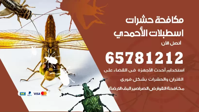 مكافحة حشرات اسطبلات الأحمدي 50050641 مكافحة حشرات وقوارض وصراصير
