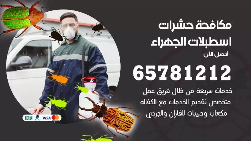 مكافحة حشرات اسطبلات الجهراء 50050641 مكافحة حشرات وقوارض وصراصير