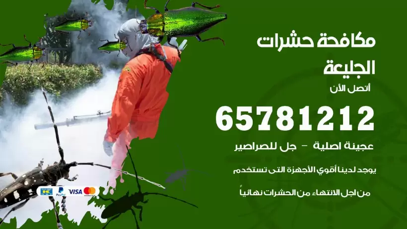 مكافحة حشرات الجليعة 50050641 مكافحة حشرات وقوارض وصراصير