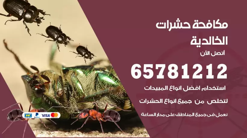 مكافحة حشرات الخالدية 50050641 مكافحة حشرات وقوارض وصراصير