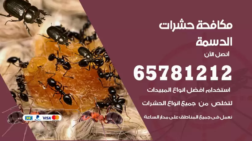 مكافحة حشرات الدسمة 50050641 مكافحة حشرات وقوارض وصراصير
