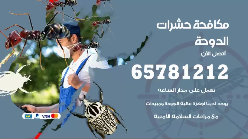 مكافحة حشرات الدوحة 50050641 مكافحة حشرات وقوارض وصراصير