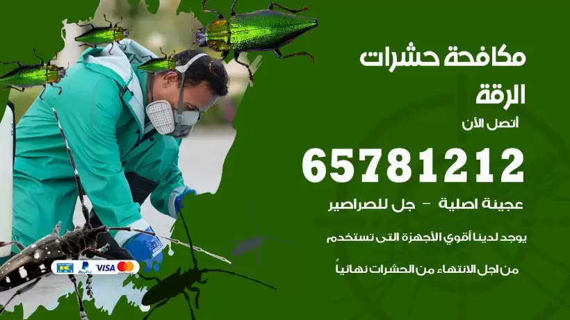 مكافحة حشرات الرقة 50050641 مكافحة حشرات وقوارض وصراصير