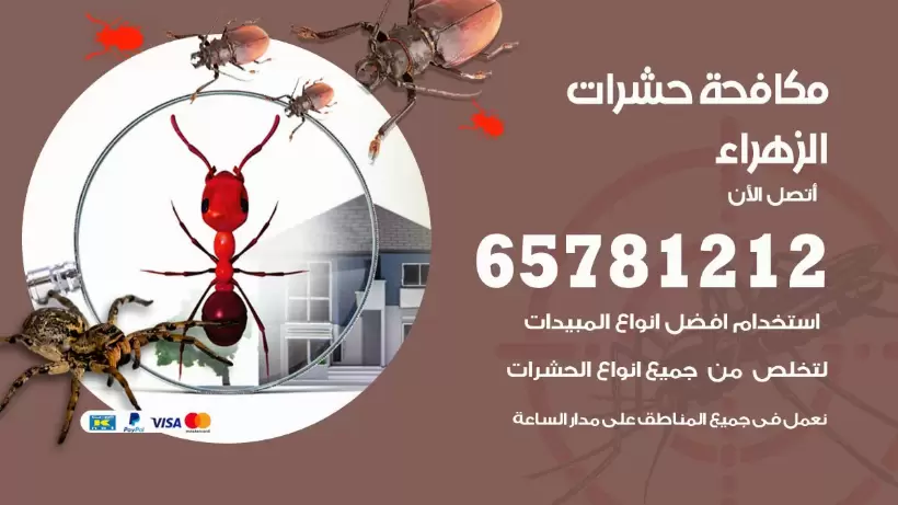 مكافحة حشرات الزهراء 50050641 مكافحة حشرات وقوارض وصراصير