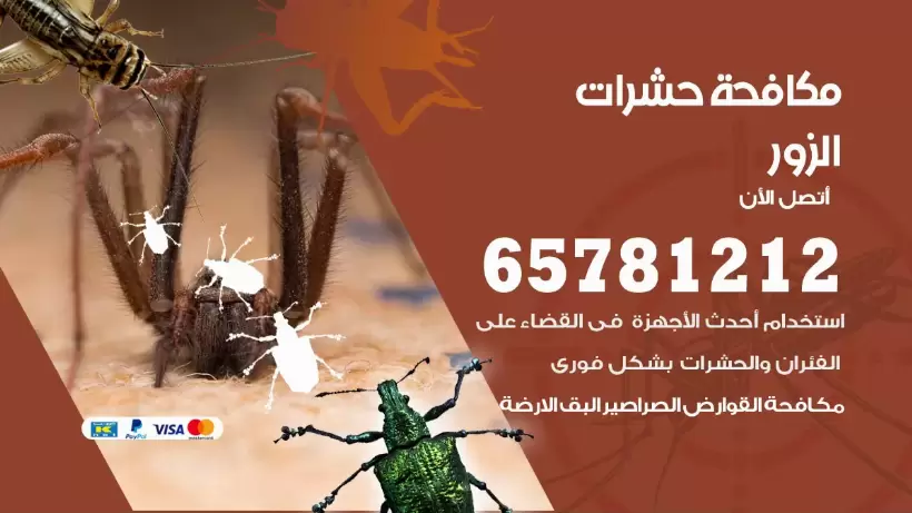 مكافحة حشرات الزور 50050641 مكافحة حشرات وقوارض وصراصير