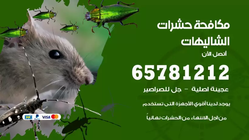 مكافحة حشرات الشاليهات 50050641 مكافحة حشرات وقوارض وصراصير