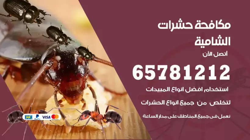 مكافحة حشرات الشامية 50050641 مكافحة حشرات وقوارض وصراصير