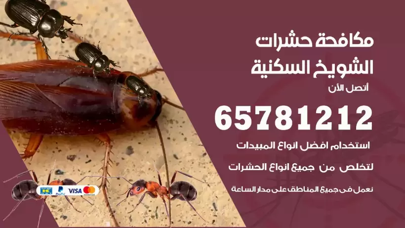 مكافحة حشرات الشويخ السكنية 50050641 مكافحة حشرات وقوارض وصراصير