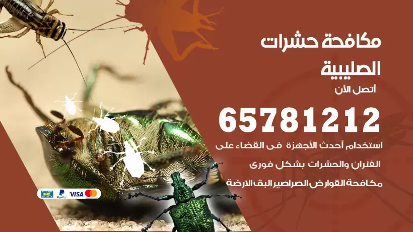 مكافحة حشرات الصليبية 50050641 مكافحة حشرات وقوارض وصراصير
