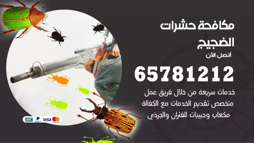 مكافحة حشرات الضجيج 50050641 مكافحة حشرات وقوارض وصراصير