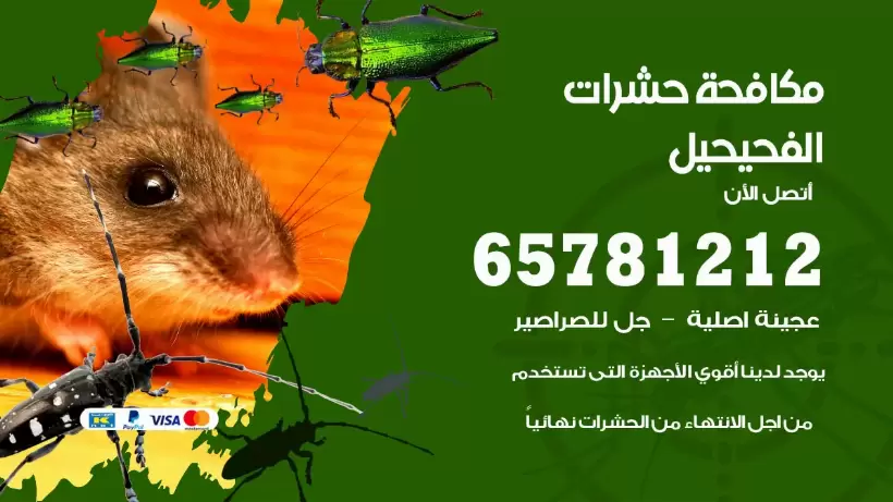 مكافحة حشرات الفحيحيل 50050641 مكافحة حشرات وقوارض وصراصير