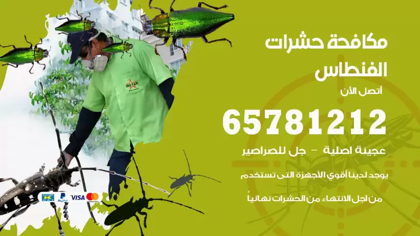 مكافحة حشرات الفنطاس 50050641 مكافحة حشرات وقوارض وصراصير