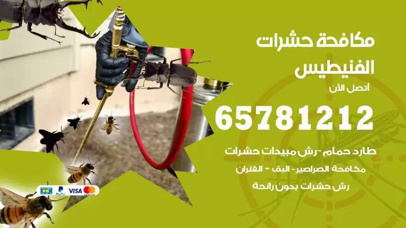 مكافحة حشرات الفنيطيس 50050641 مكافحة حشرات وقوارض وصراصير