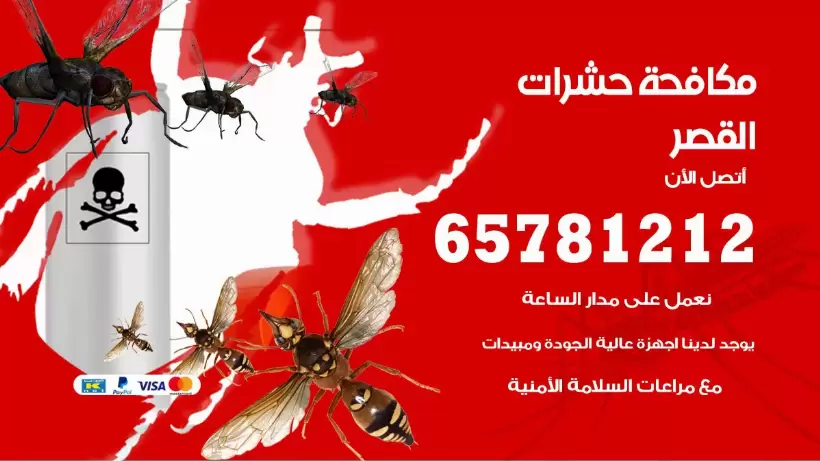 مكافحة حشرات القصر 50050641 مكافحة حشرات وقوارض وصراصير