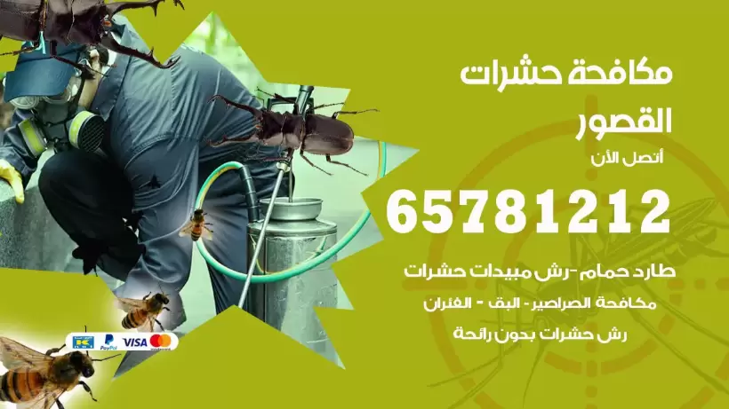 مكافحة حشرات القصور 50050641 مكافحة حشرات وقوارض وصراصير