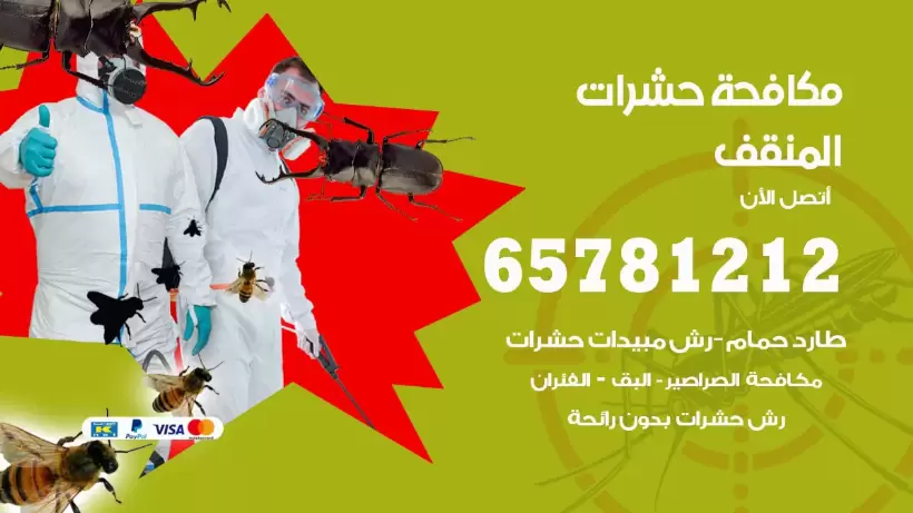 مكافحة حشرات المنقف 50050641 مكافحة حشرات وقوارض وصراصير