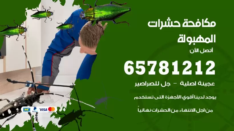 مكافحة حشرات المهبولة 50050641 مكافحة حشرات وقوارض وصراصير