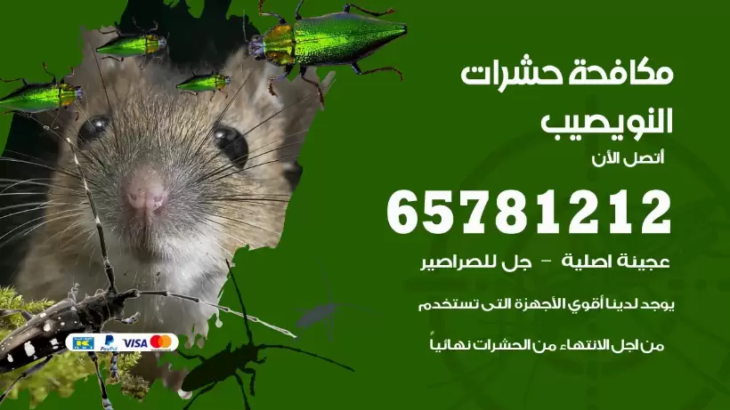 مكافحة حشرات النويصيب 50050641 مكافحة حشرات وقوارض وصراصير