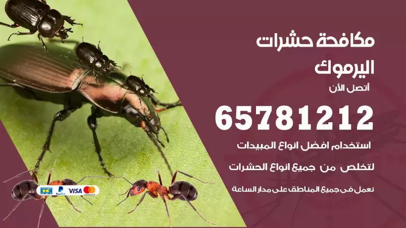 مكافحة حشرات اليرموك 50050641 مكافحة حشرات وقوارض وصراصير