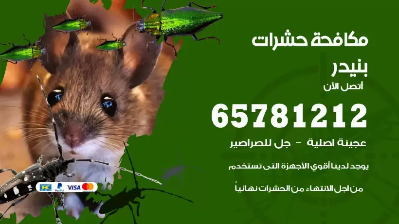 مكافحة حشرات بنيدر 50050641 مكافحة حشرات وقوارض وصراصير