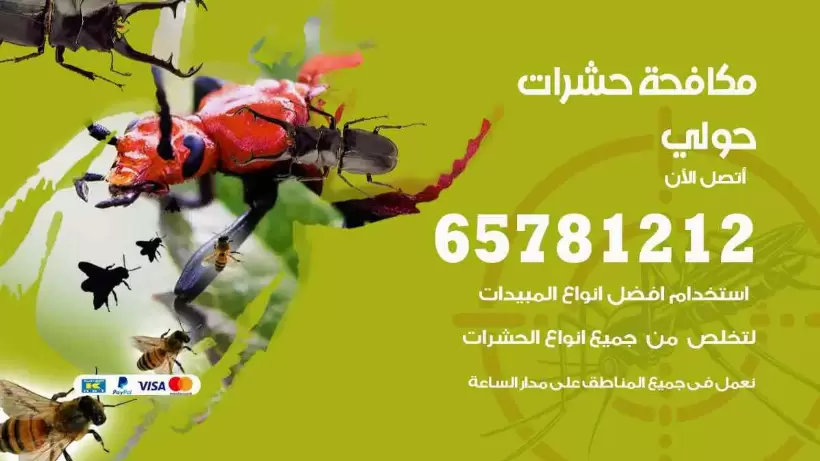 مكافحة حشرات حولي 65781212 مكافحة حشرات الكويت
