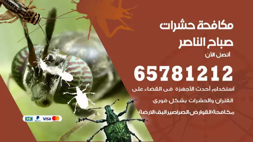 مكافحة حشرات صباح الناصر 50050641 مكافحة حشرات وقوارض وصراصير
