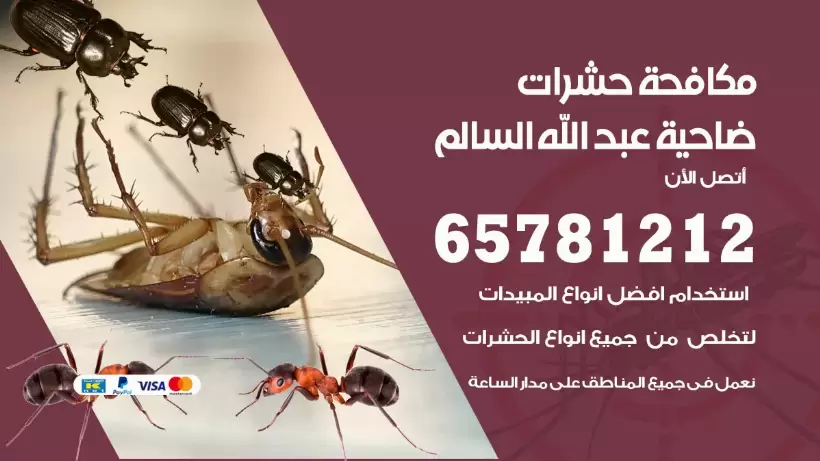مكافحة حشرات ضاحية عبدالله السالم 50050641 مكافحة حشرات وقوارض وصراصير