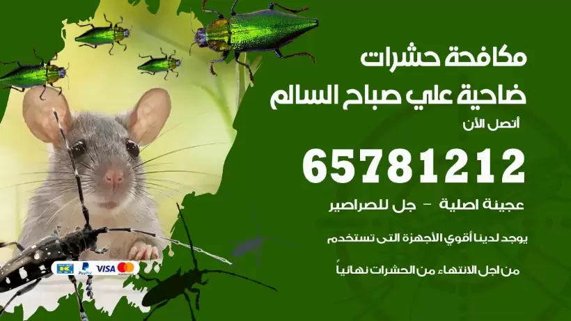 مكافحة حشرات ضاحية علي صباح السالم 50050641 مكافحة حشرات وقوارض وصراصير