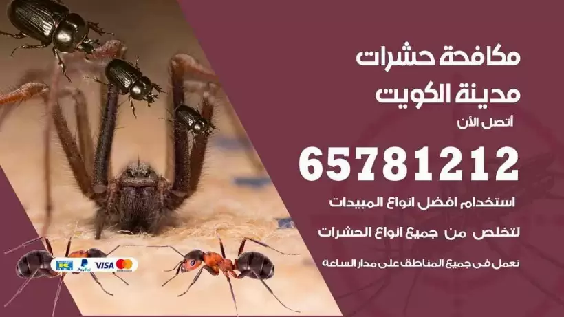 مكافحة حشرات المنطقة العاشرة 65781212 مكافحة حشرات الكويت