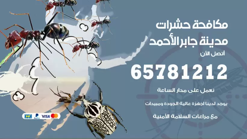 مكافحة حشرات مدينة جابر الأحمد 50050641 مكافحة حشرات وقوارض وصراصير
