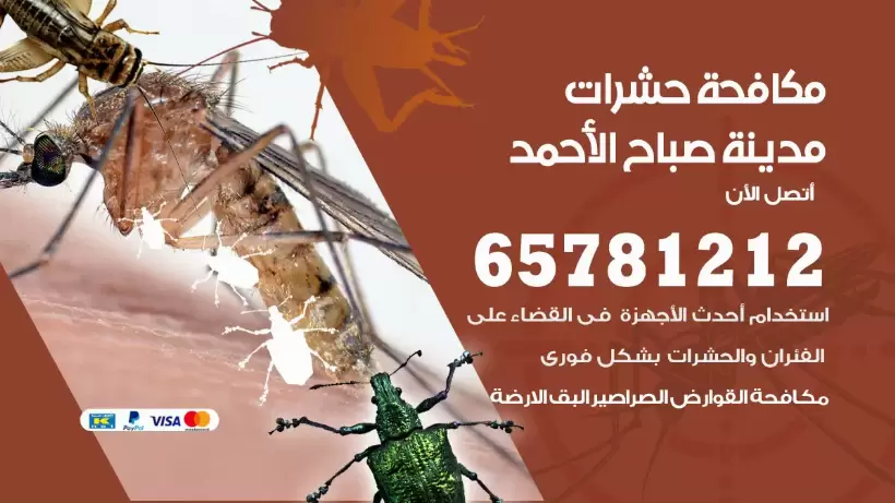 مكافحة حشرات مدينة صباح الأحمد 50050641 مكافحة حشرات وقوارض وصراصير