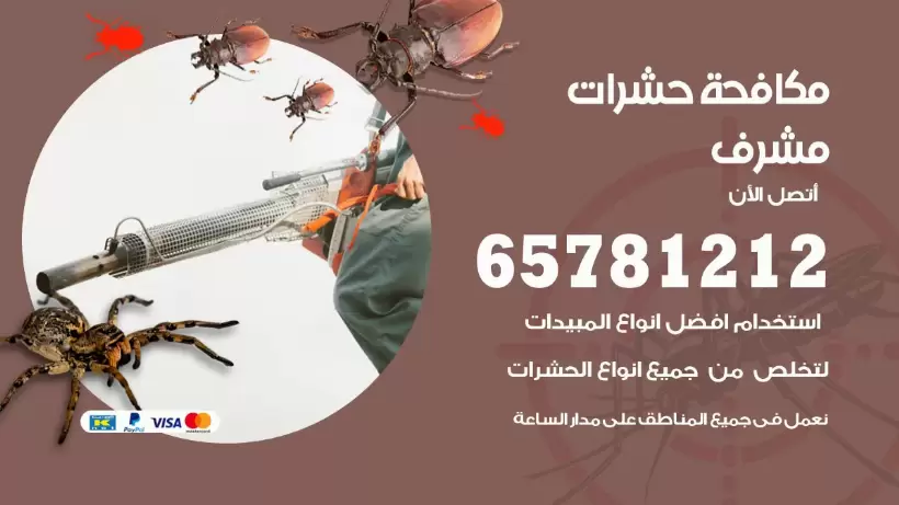 مكافحة حشرات مشرف 50050641 مكافحة حشرات وقوارض وصراصير