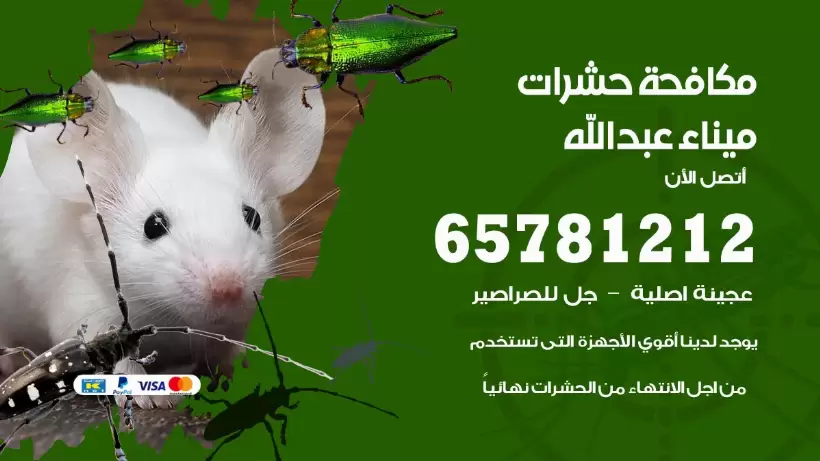 مكافحة حشرات ميناء عبدالله 50050641 مكافحة حشرات وقوارض وصراصير